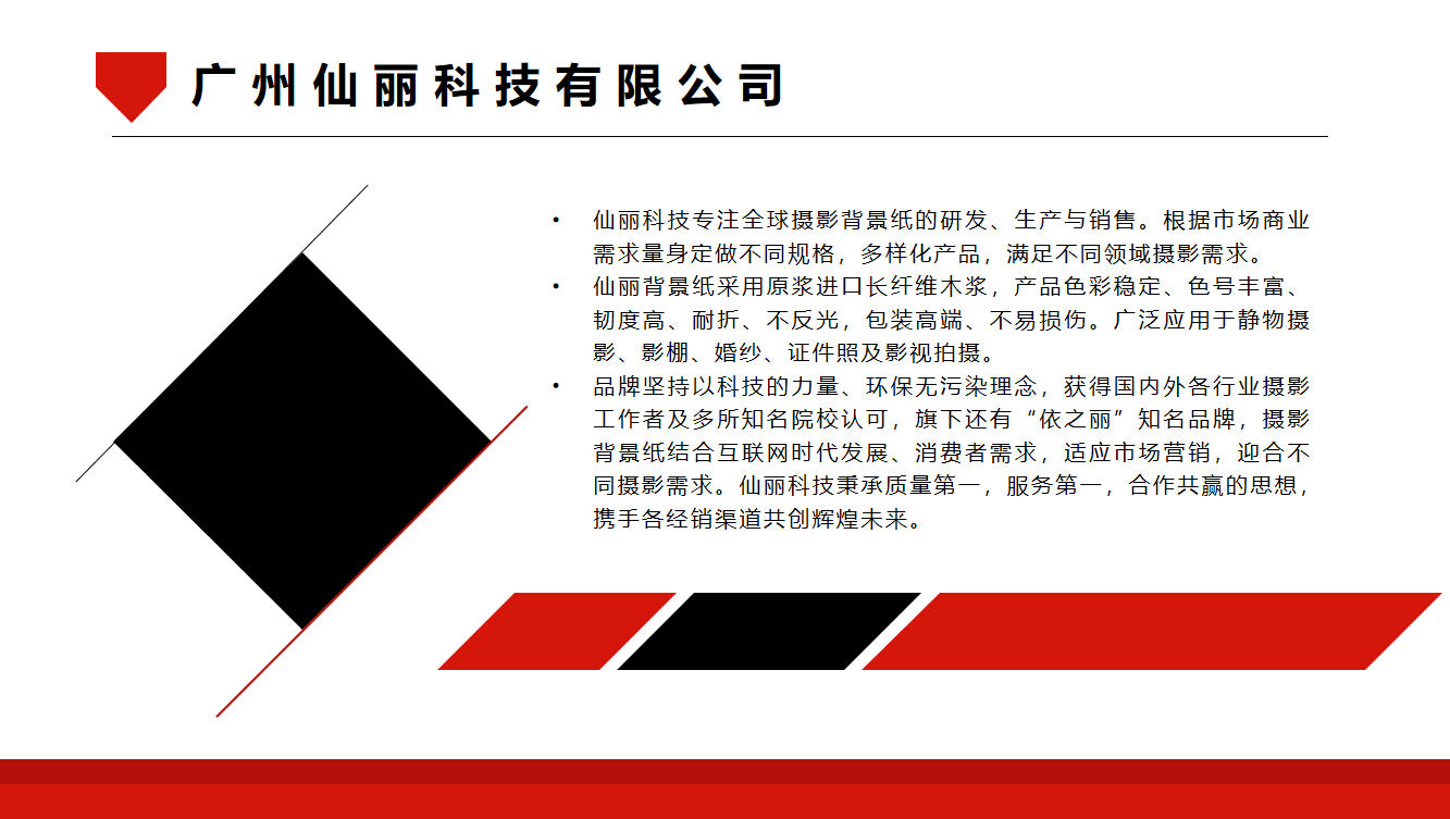 公司介绍资料预览